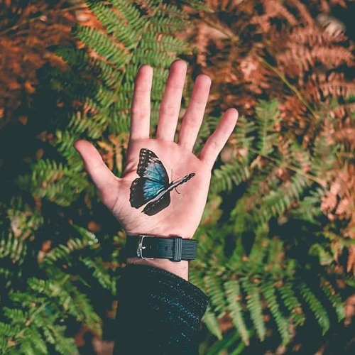 تلاوة مميّزة لسورة الحجر ،