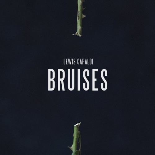 Lewis Capaldi - Bruises (Traumtherapie Bootleg)