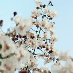 El Sol Y El Espejo (II)