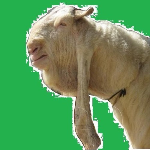 g.o.a.t  -  FYA001