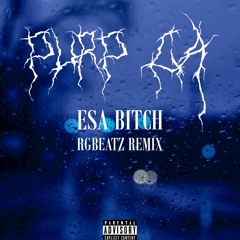 Purp C.A x Argibtzz - Esa Bitch (Remix)