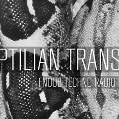 Reptilian Transmission #17 - In-Tech (vinyl Dj Set)Fnoob Techno Radio (Reino Unido)