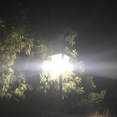 それを蹴る