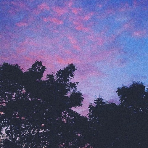 i don't want to say too much