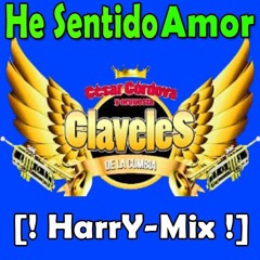 102 - CLAVELES DE LA CUMBIA - He Sentido Amor [ ! HarrY - Mix ! ]