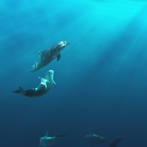 Stream Nicebeatzprod. – Мы Уходим В Плаванье By KINOZ | Listen.