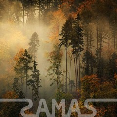 SAMAS - Wacky Sundays I