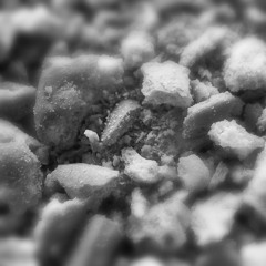 Biscuit Clippings (ft. Rosco Nihilism)