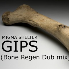 GIPS(Bone Regen Dub Mix)