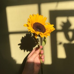 Rex Orange ( Jumpsuit) County Jail - Sunflower (Intro only)