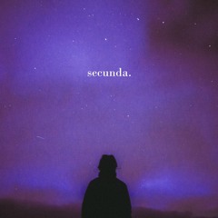 secunda (skyrim flip)