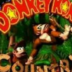 Donkey Kong Country OST 21 Fear Factory