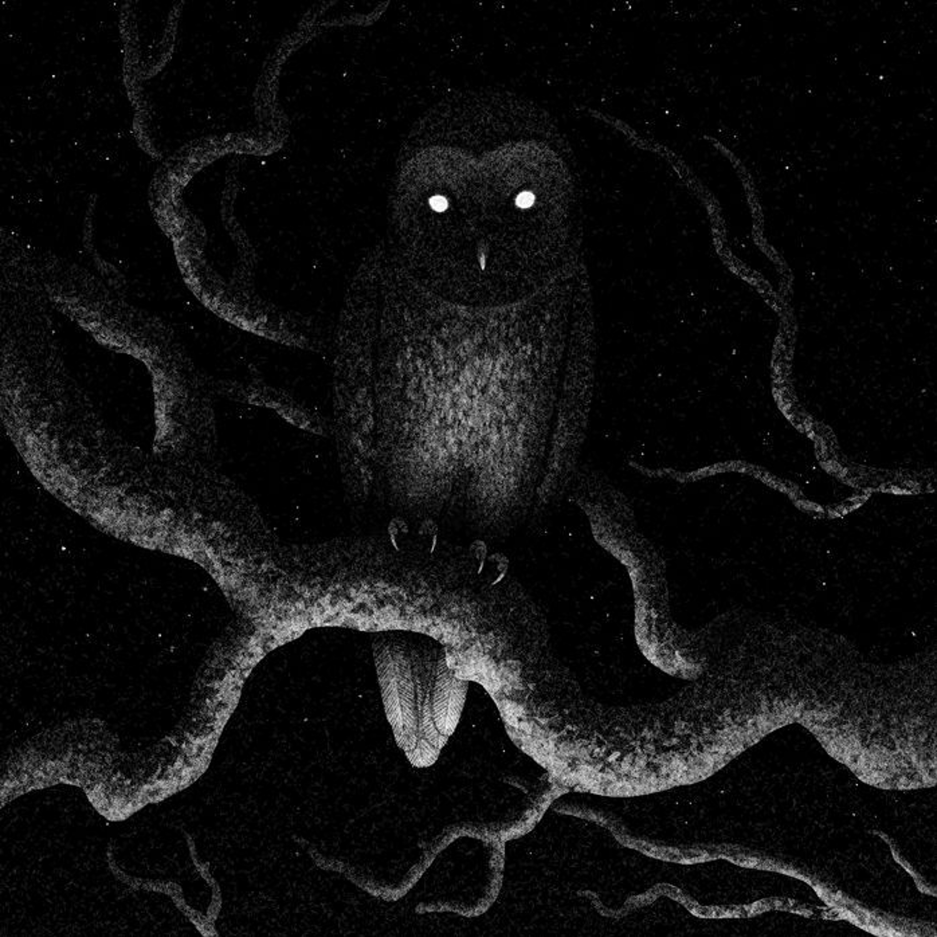 Hoot Lullaby episode artwork