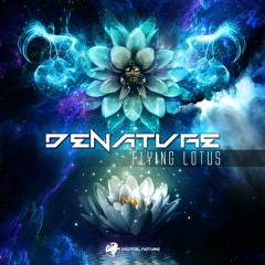 Denature - The Mystery Of Beings