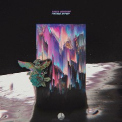 Distort Vibe X MEZRAB