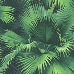 Reefan - Come Home (Prod. Tec)