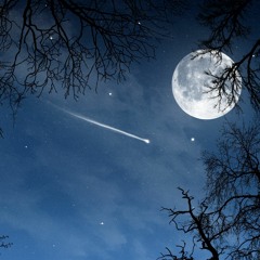 Noche #NightPulse (mix)