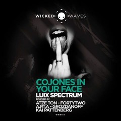 Luix Spectrum - Conones In Your Face (Kai Pattenberg Remix) Snipped[Soon On Wicked Wave Records]