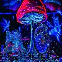 Taktplaner - Gefühl Nach Noten 2k18