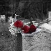 Lil Skies Ft Landon Cube Red Roses Instrumental Reprod By Souporsayin Mp3