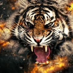 Tiger's Growl