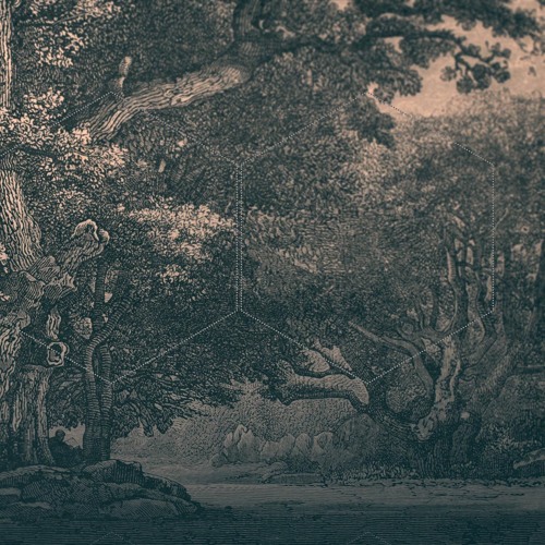 Aeris e Freak Attack - Sugary Swamp