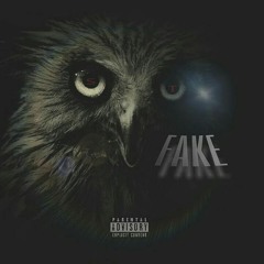 ST- Fake