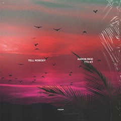 Tell Nobody ft. TTO KT (Produced by Aaron Reid, MVLIK & ClevaKeys