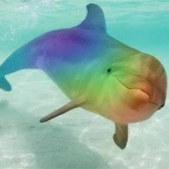 Flipper