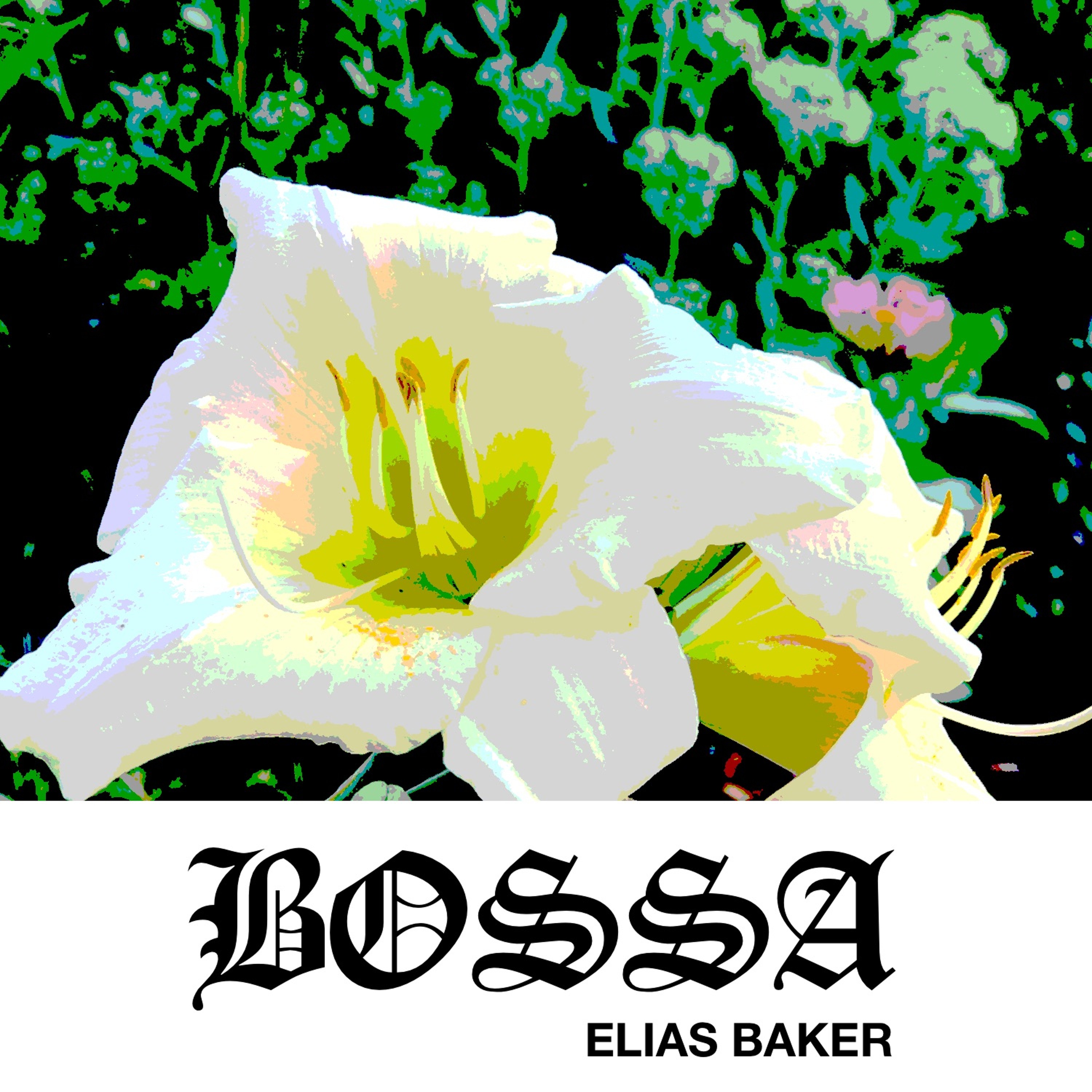 Bossa episode artwork
