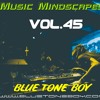 B.T.B. ~ Music Mindscapes VOL 45 * House - Tech House *