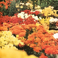 Better Man (INSTRUMENTAL )