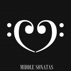 Piano Sonata No. 13 in E-flat Major, Op. 27, No. 1: I. Andante "Quasi una fantasia" (Short Ver. 1)