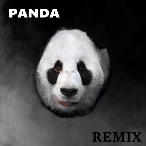LTG Panda Remix