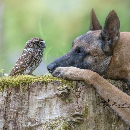 Witchtape #14 | Guest Wizz : Phil.Ok!