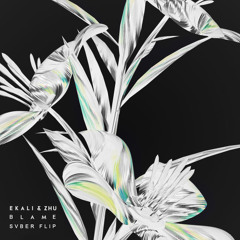 Ekali & ZHU - Blame (CARACAL Flip)