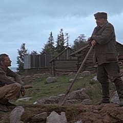 Холодное лето 53-его
