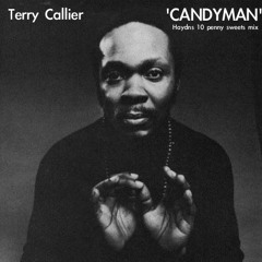 Terry Callier - Candyman (Haydns 10 Penny Sweets Mix)