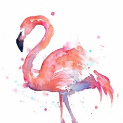 Zoom-Flamingo