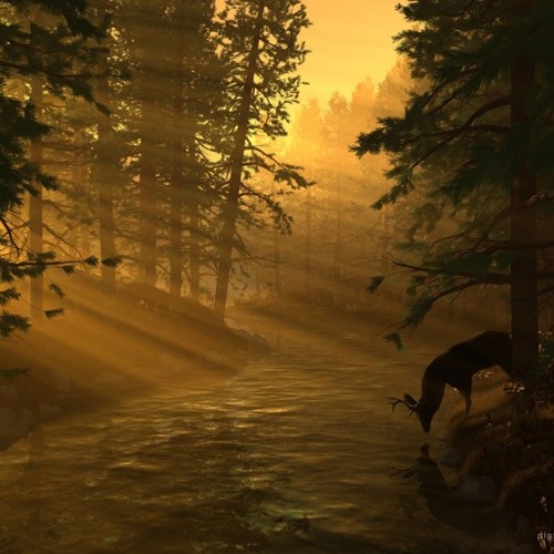 سـورة القيامة _ حسن صالح