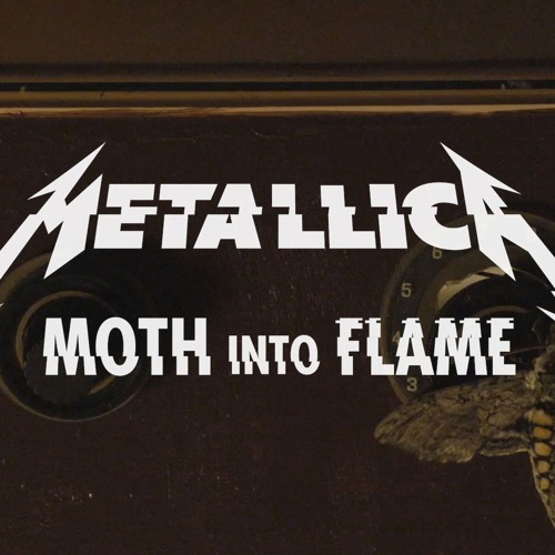 Группа сила моли песни. Moth into Flame. Metallica Moth into Flame. Металлика Флейм мот инто. Metallica Moth into Flame Single.