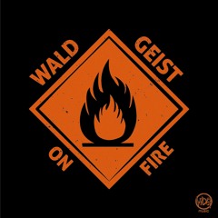 Wald Geist - On Fire - Snippet
