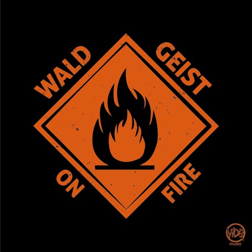 Wald Geist - On Fire