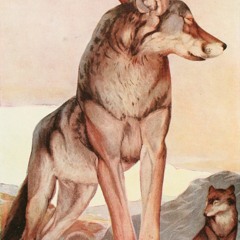 SchWing
