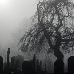 The Funeral