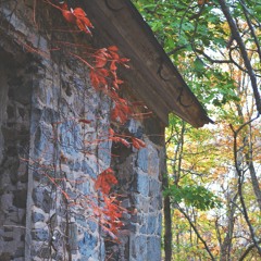 Down On Old Rocky Top