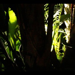 You And I Or Whatever DEMO