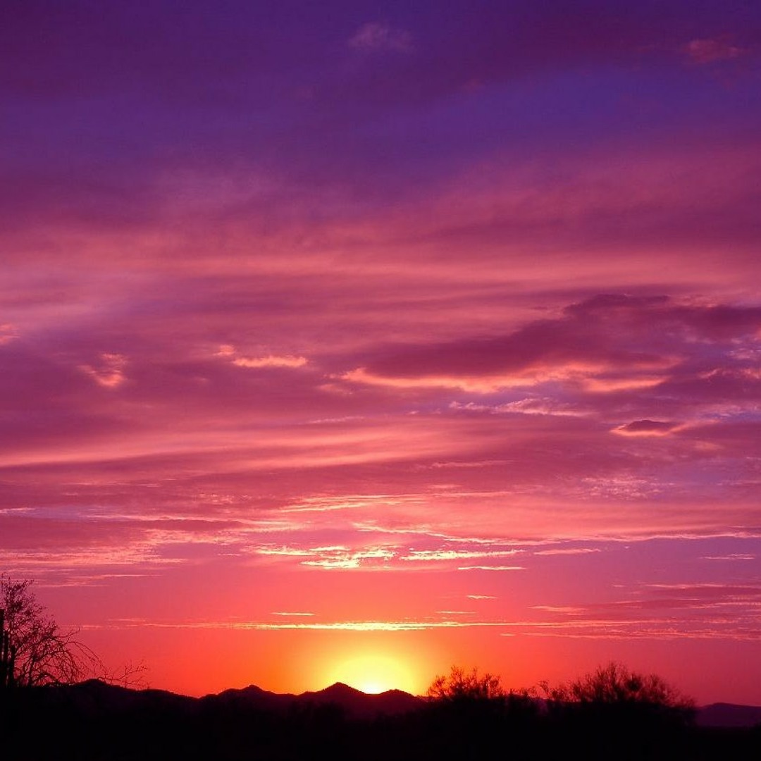 SUN RIZE☆彡 309,645 Sunrise Stock Videos, Footage, & 4K Video Clips - Getty