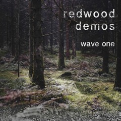 Redwood Demos ~ Wave One