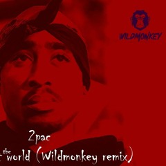 2pac - Me Against The World (Wildmonkey Remix)